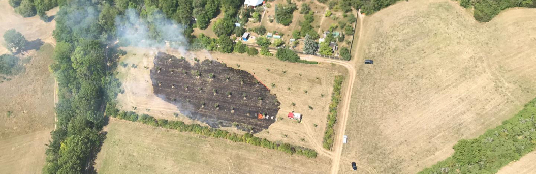 abgebranntes Feld aus der Luft fotografiert